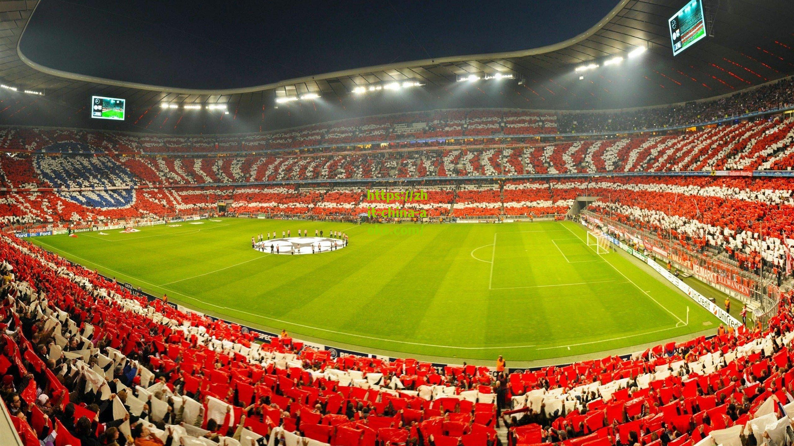 探花自述七年坚守，那些靠发电机的夜晚成就了本届最强球员